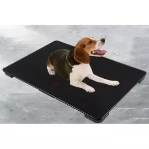 대형견 체중계 동물병원 반려동물 측정기 반려견