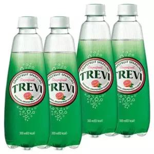 롯데 트레비 자몽 300ml x 40PET (20펫x2박스)