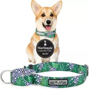 럭키 러브 독 마팅게일 칼라 소형견을 위한 프리미엄 노 슬립 휘펫 그레이하운드 등(소형 블루 라구나)에