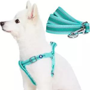 블루베리 펫 에센셜은 반려견 하네스와 목줄 세트 민트 그린 소형견용 5피트 목줄이 달린 조절 가능한