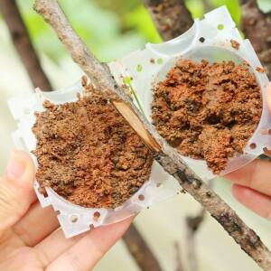 5-30개 식물 발근 볼 고압 번식 상자 재사용 가능한 정원 절단 접목 장비 강한 뿌리용