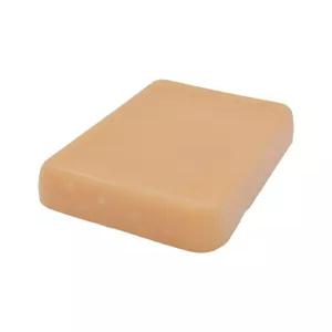 초음파 혈관 모형 실리콘 키트 의대 실습용 해부학 심장