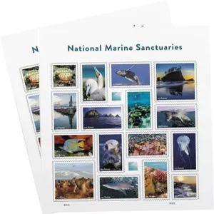 국립 해양 보호구역 USPS 영원한 우표 미국 일등석 우편 바다 물고기 산호수 생일 기념 결혼식 축하 32장