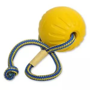 [반려] 스타마크 강아지 장난감 공놀이 장난감 폼볼 L