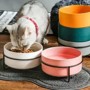 [반려] 반려견 도자기 식기 2구 대형 블랙 트레이 흰색 그릇