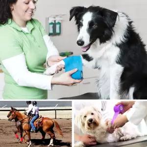 압박붕대 4.5m 손목 발목 2.5cm x 아대 테이핑 스포츠