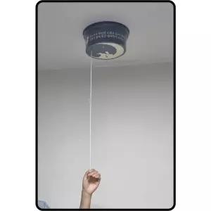 박스 용돈 돈벼락 화환 이벤트 반전