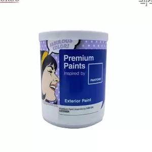 페인트 친환경 무광 콘크리트용 외부용 페인트 시멘트용 건축용 외벽 도색용 보수제 마감재 보수용 작업용