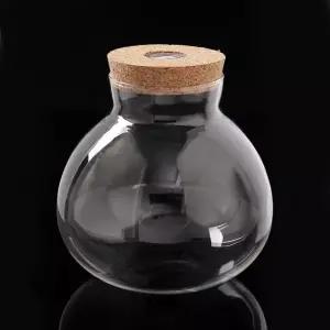 마리모병 테라리움 마리모키우기 유리병 LED 반려식물