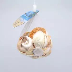 조개껍질 조개껍데기 만들기조개 조개껍질모음 조개껍데기 조개껍질 만들기조개