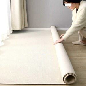 카페트 300 단색 400x200cm 카펫 200 북유럽 특대형 1 침실 안방 오프