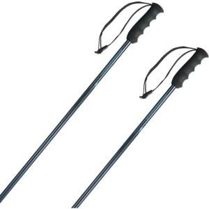 스키 폴대 Nordica ALPINE 전문가