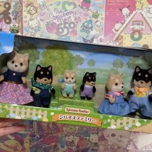 실바니안 패밀리 블라인드 키 Aceessories 피규어 장난감 소녀 선물