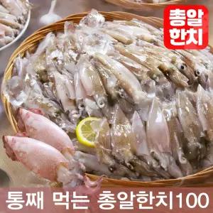 통째 먹는 총알한치 100 호래기 냉동 오징어 통찜 한입 한치
