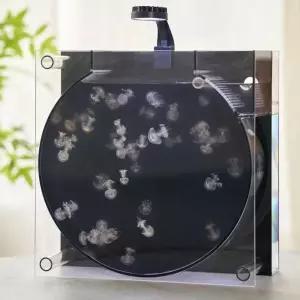 애완 해파리 키우기 관상어 무드등 리터 아크릴 니모