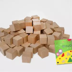초등 정육면체 사각 큐브 2cm 쌓기나무교구 100pcs+책 방과후 도형블럭 홈스쿨링