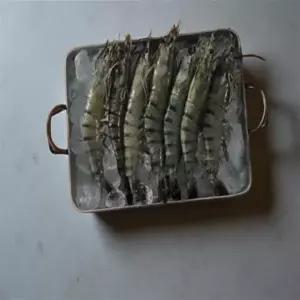 징거미 새우 블랙 타이거 냉동 킹타이거 민물 쉬림프 소금구이 튀김 500g 1+1