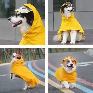 강아지 우비 레인코트 소형견 중형견 대형견 M