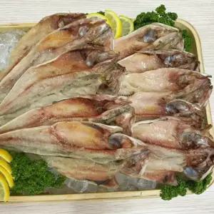 싱싱햇 반건조 임연수 생선 구이 임연수어 5미