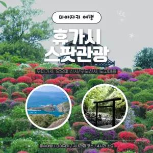 [일본 프라이빗 택시관광] 큐슈 미야자키 휴가시 스팟관광 코스(우미가세, 오오미신사, 미미쓰) (당일투어)