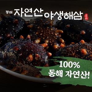 100% 동해안 자연산 해삼 1kg
