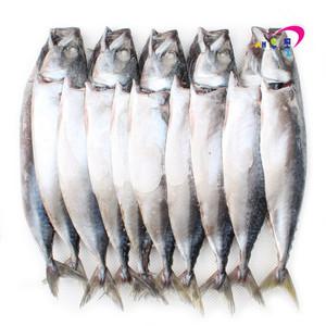 국산 간고등어(대) 10미 3kg 자반고등어