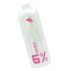 CMS 에일리 내츄럴나인 옥시던트 6% 산화제 1000ml