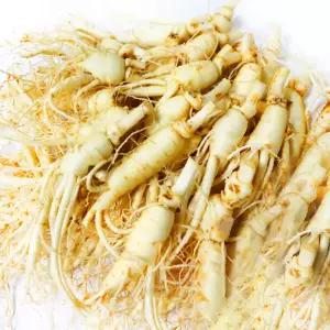 가정용 햇 수삼 세척인삼 난발삼 [中] 20편 이상 700g