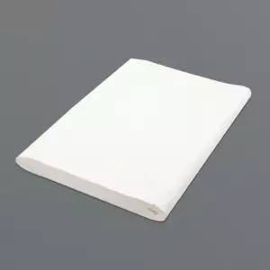 2절 전지 화선지 100매입 연습용 서예 캘리그라피 학생 입문 교재 학교 교구 동양화 수묵화 종이 대용량 큰