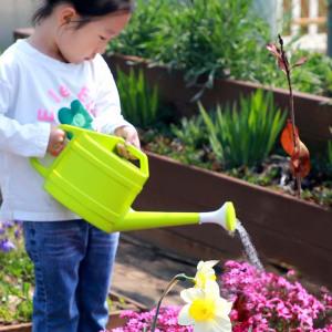 어린이물조리개 작은 미니 유아 물조루 물뿌리개 생태체험 농장체험