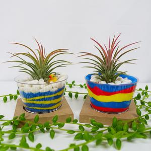 [오피스스쿨] 알록달록 이오난사 화분 만들기 1인세트 (2중택1) 클레이 색모래 MDF 원목받침 diy 색모래