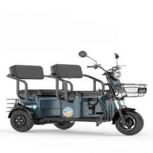 어르신스쿠터 2인용 삼륜 전동차 전기 48v 20a 배터리