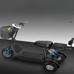 3륜스쿠터 48v 배터리 삼륜차 전기 오토바이 노인 2인