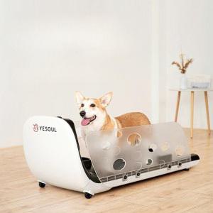 강아지 런닝머신 반려동물 비만 애완동물 워킹머신