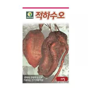 다농 적하수오 씨앗 30립
