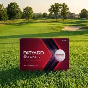 빅야드 스트레이트 2피스 골프공 30구 e