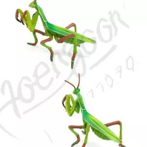 이안 사마귀 모형완구 곤충관찰 미니곤충피규어 4세남아장난감