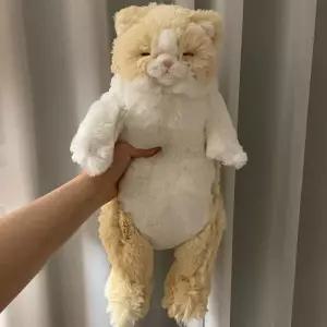 [아트박스]/콤비니 [선레몬] 무릎인형 잠자는 쓰야쓰야 고양이 인형 (CR)