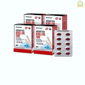 [정품] 크릴오일 안타티카 남극 레드 크릴 오일 120캡슐 4개월분 인지질 58% 코스트코