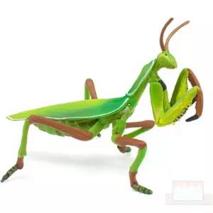 모형완구 사마귀 모형사마귀