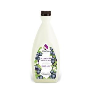 웰베이킹 포모나 블루베리 스무디 2kg