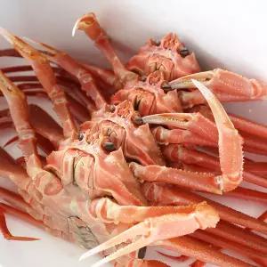 [더조은][더조은] 구룡포 고급 자숙 홍게 10마리 (개당 180-200g)