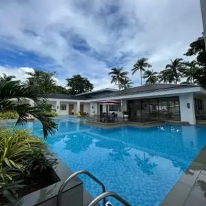 [에어부산/저녁출발] 보홀 코코트리 2일자유+시내관광 오후 3박5일 실속패키지