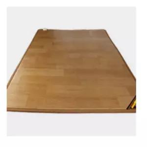 모노륨 온열 바닥 발열 카페트 거실 전기매트 난방 방한용 160cm