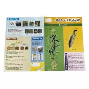 과학놀이 식물재배 옥수수심기 관찰교구 4인x4세트/ 돌봄교실 자연학습 만들기수업