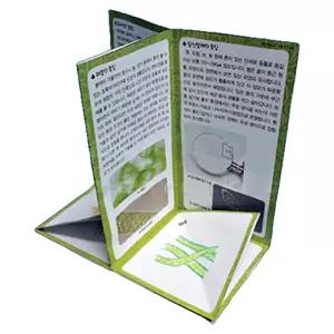 초등교과연계 생물학습 곰팡이관찰 버섯특징 5인x3세트/ 신기한과학 짚신벌레