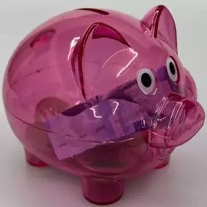 투명 돼지저금통 지폐 동전저금통 미니 랜덤