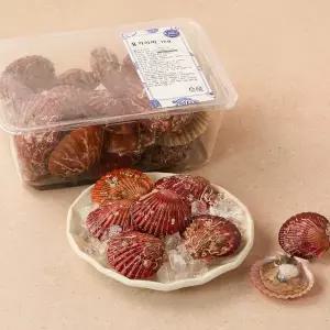 [생물][국산] 통영 홍 가리비 (1kg, 팩포장)