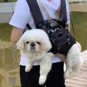가로형 반려동물 강아지 슬링백 고양이 포대기 여행용 배낭 이동장 제품 산책 앞가방 백팩