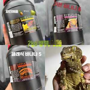 파충류 게코 사료 판게아 반려동물 도마뱀 제품 간식 후르츠 2kg 다이어트